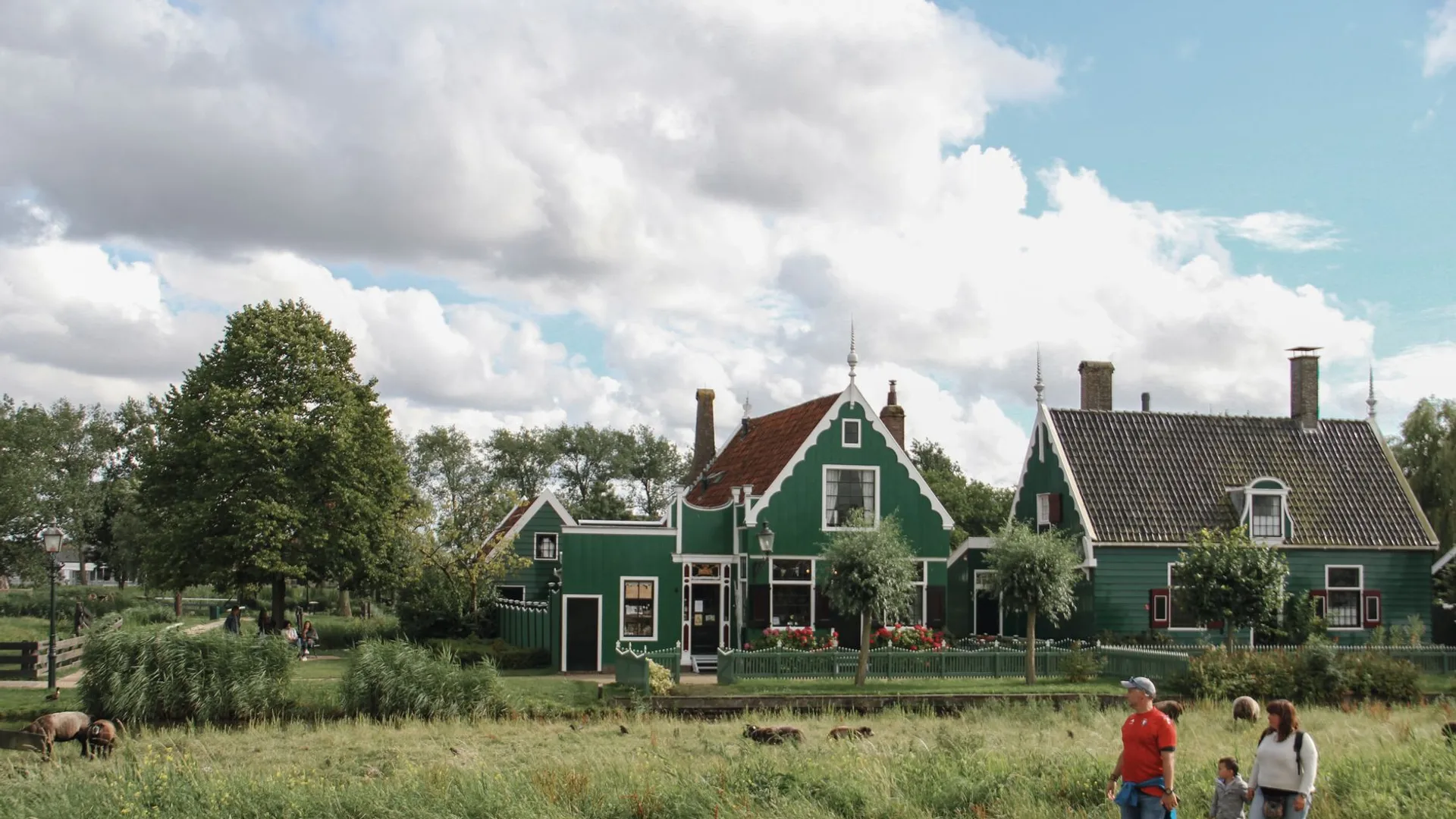 Charming Dutch houses and a family stroll in Zaanse Schans, Netherlands, showcasing traditional architecture.